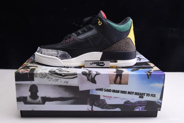 Rep TBkick Air Jordan SE Retro Instinct 2.0 CV3583-003 3 - Animal 0707